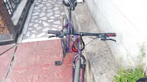 ምርጥ ፍላይንግ ባይክ