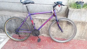 ምርጥ ፍላይንግ ባይክ