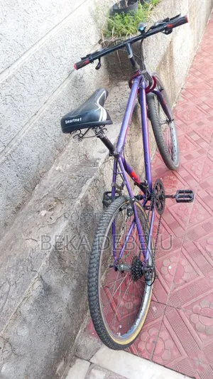 ምርጥ ፍላይንግ ባይክ