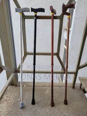 Photo - Walking Stick | Easy to Carry貳罔customers Receive Reliable