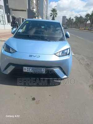 Photo - New BYD Seagull 2025