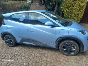 New BYD Seagull 2025