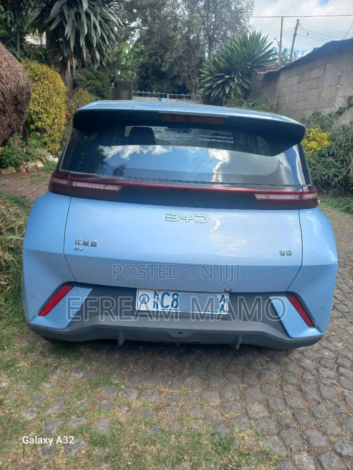 New BYD Seagull 2025