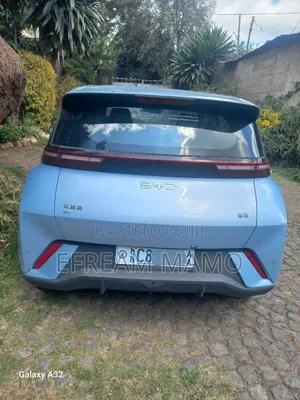 New BYD Seagull 2025