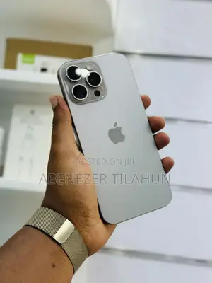 Apple iPhone 16 Pro Max 256 GB Gray