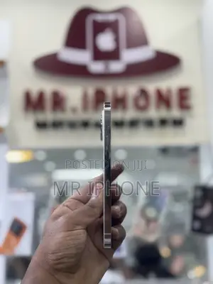 Apple iPhone 13 Pro Max 256 GB White