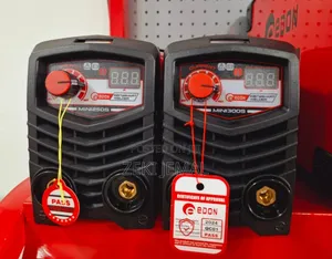 Edon Mini Size Welding Machine 250a 300a