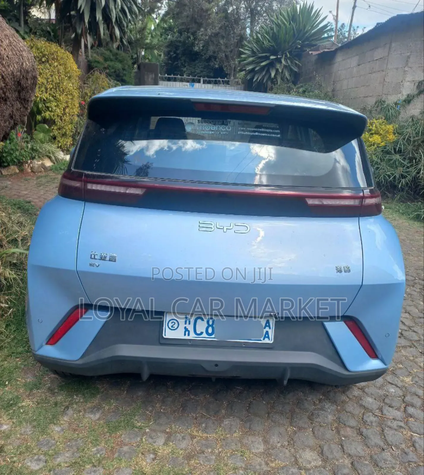 BYD Seagull 2025 Blue