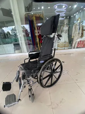 Toilet Wheelchair