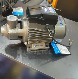 Italy Technology 0.5 Hp Peripheral Pump