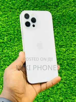 Photo - Apple iPhone 12 Pro Max 256 GB