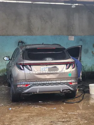 Hyundai Tucson 2022 Brown