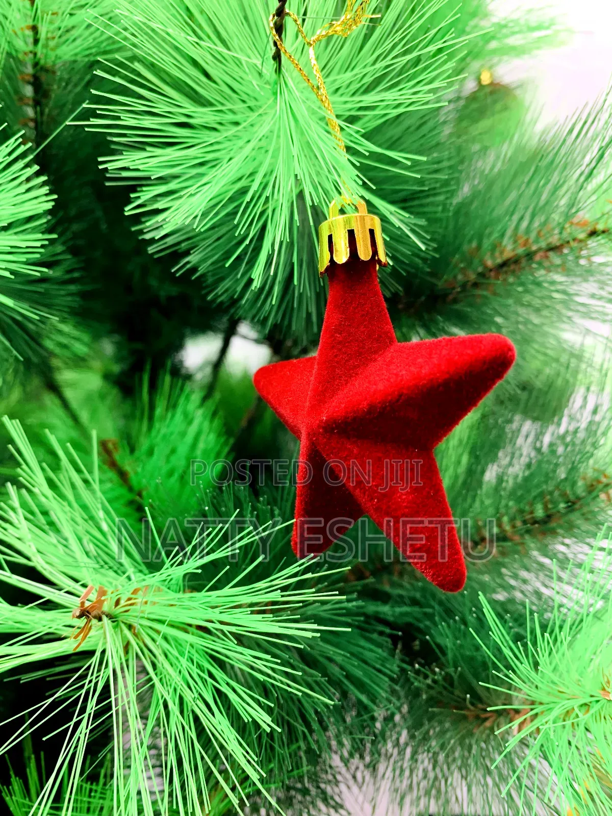 Imported Christmas Tree