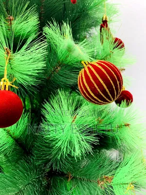 Imported Christmas Tree