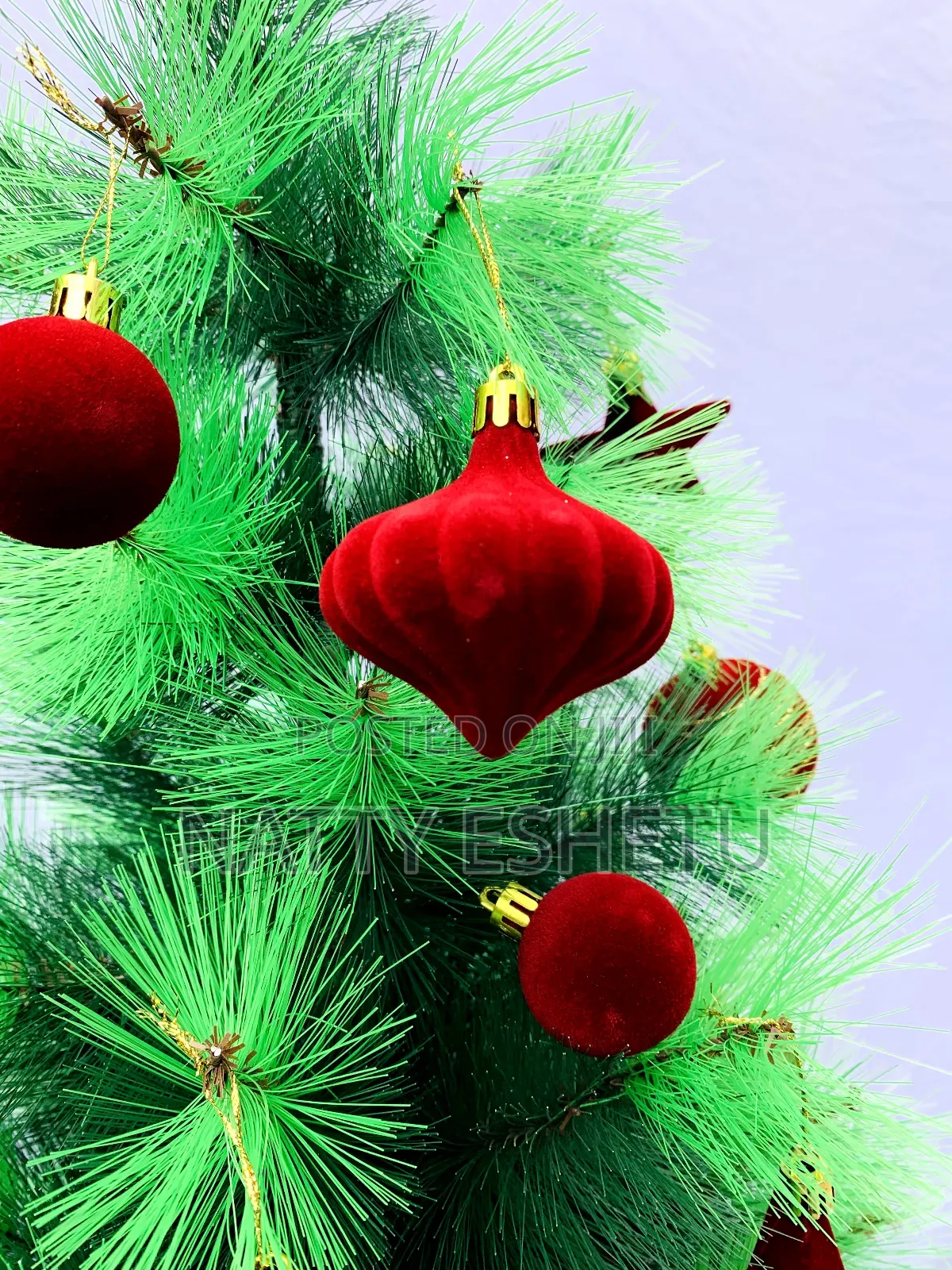 Imported Christmas Tree