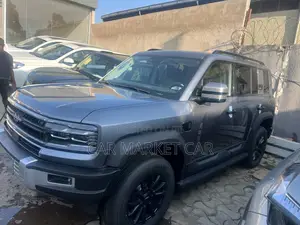 Photo - New BYD Leopard 5 2025 Gray