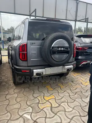 New BYD Leopard 5 2025 Gray