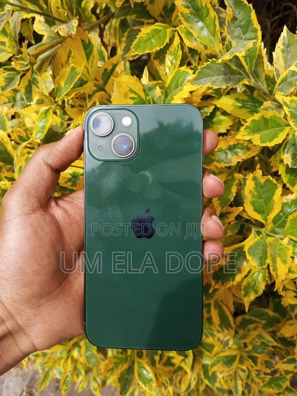 New Apple iPhone 13 128 GB Green