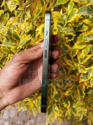 New Apple iPhone 13 128 GB Green