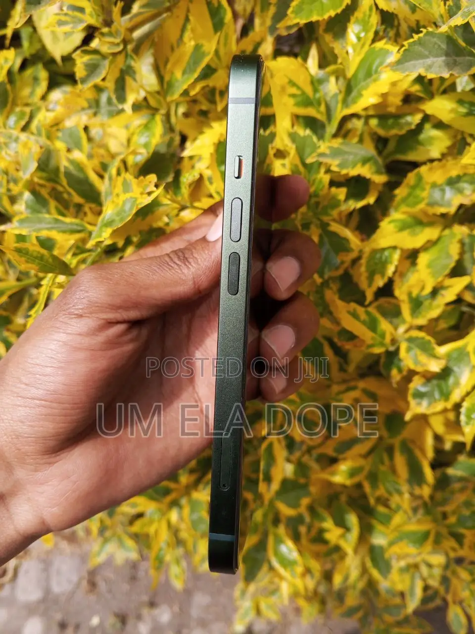 New Apple iPhone 13 128 GB Green