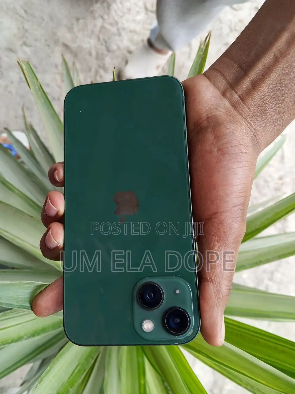 New Apple iPhone 13 128 GB Green