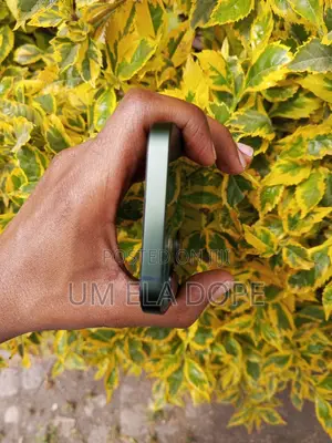 New Apple iPhone 13 128 GB Green