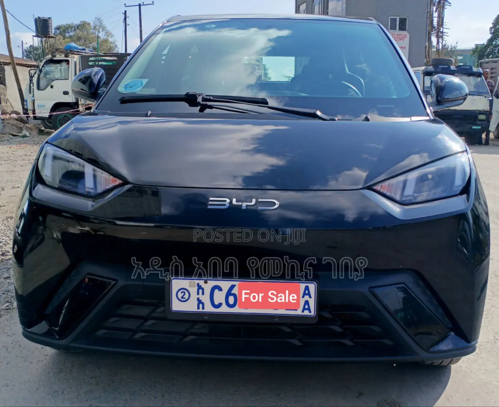 New BYD Seagull 2024 Black