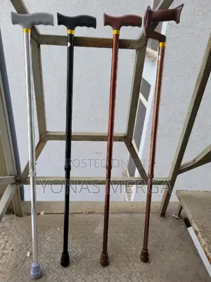 Walking Stick与蘋best Lightweight Aluminum Canes (1001.311.Gbr)