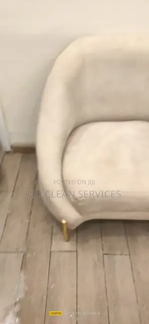 Sofa Cleaner