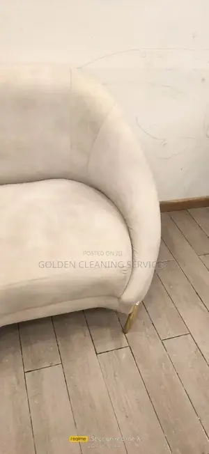 Sofa Cleaner