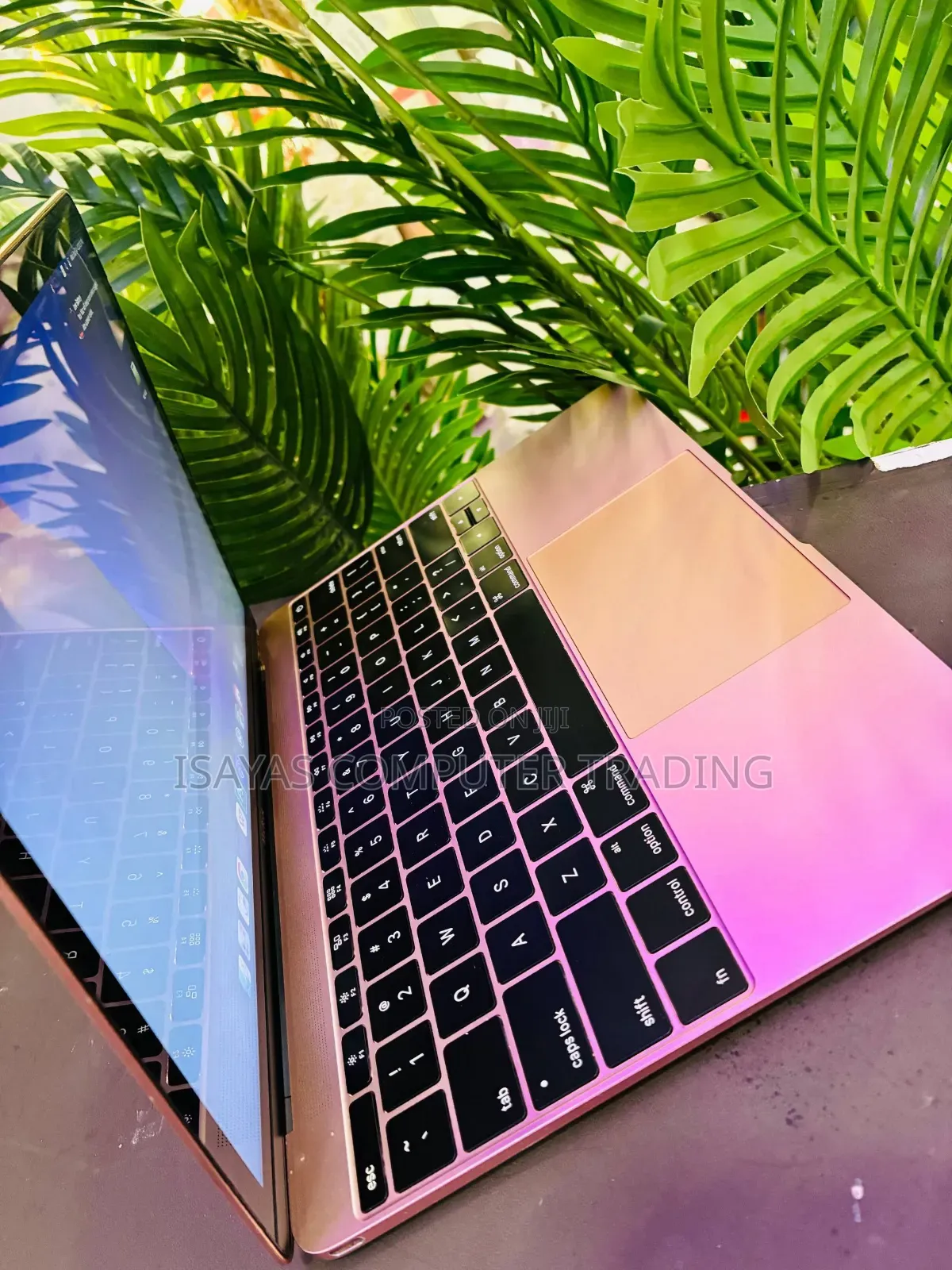 New Laptop Apple MacBook 2015 8GB Intel Core I5 SSD 256GB