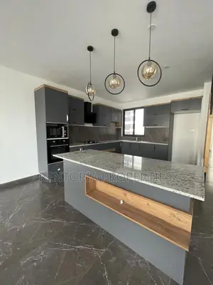 4bdrm Penthouse in Bole for rent