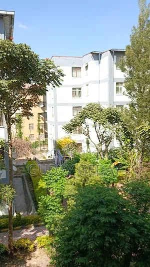 Furnished 1bdrm Condo in Oromia-Finfinne for sale