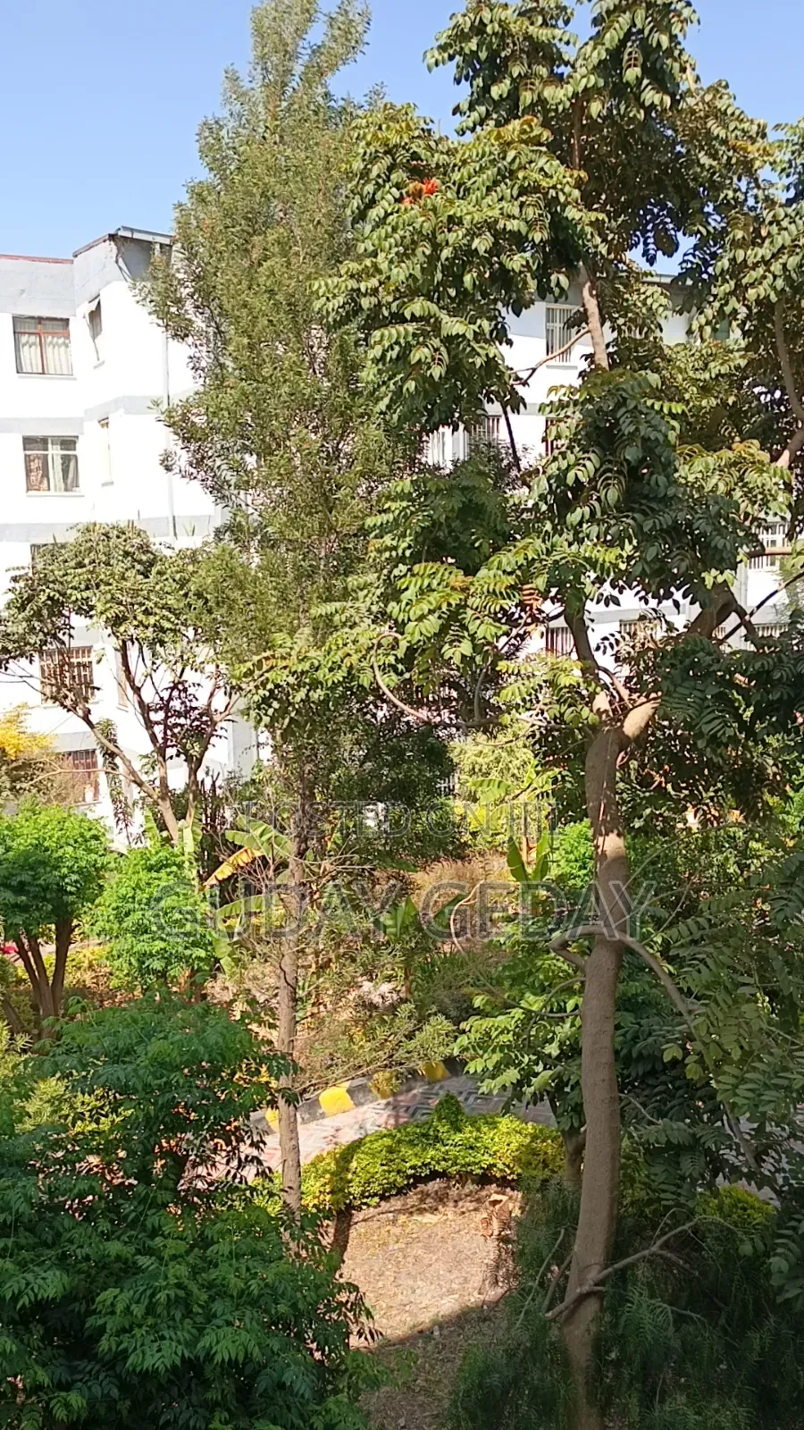 Furnished 2bdrm Condo in Oromia-Finfinne for sale