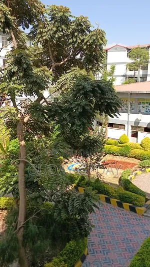 Furnished 2bdrm Condo in Oromia-Finfinne for sale