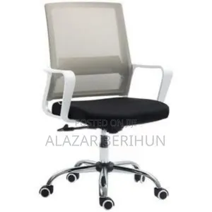 Photo - Best Secretary Office Chair (Gray Back)