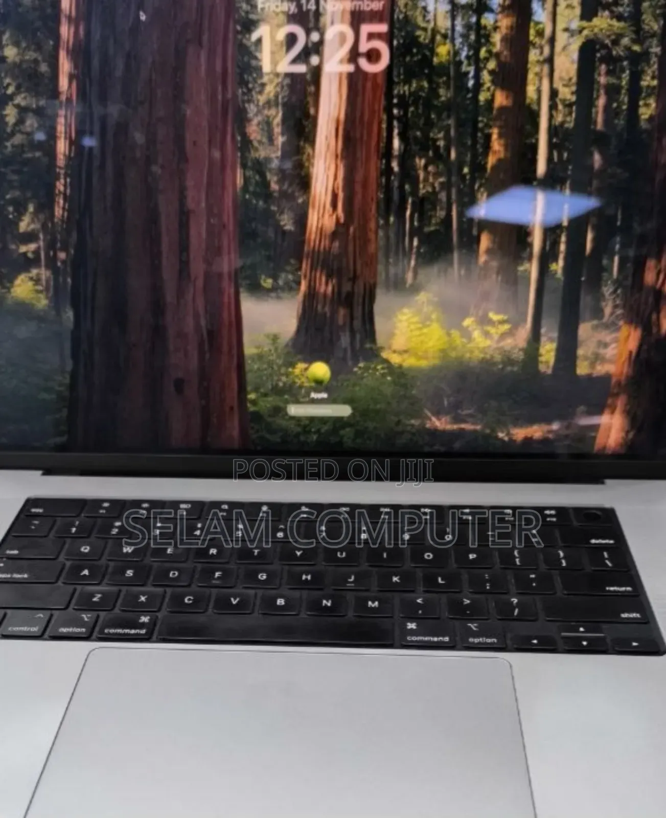 New Laptop Apple MacBook Pro 2024 M4 Max 16-Inch 64GB Apple M1 SSD 1T