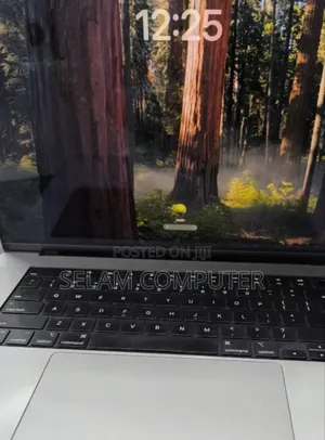 New Laptop Apple MacBook Pro 2024 M4 Max 16-Inch 64GB Apple M1 SSD 1T