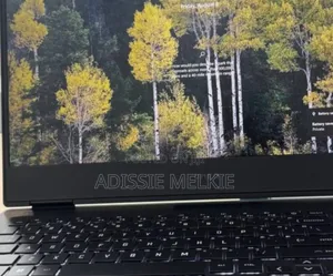 New Laptop MSI MSI Sword 17 16GB Intel Core I7 SSD 512GB