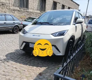 Photo - BYD Seagull 2024 Off white