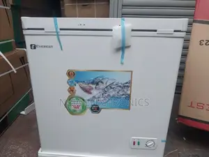 Everest Deep Freezers 23s Deliver