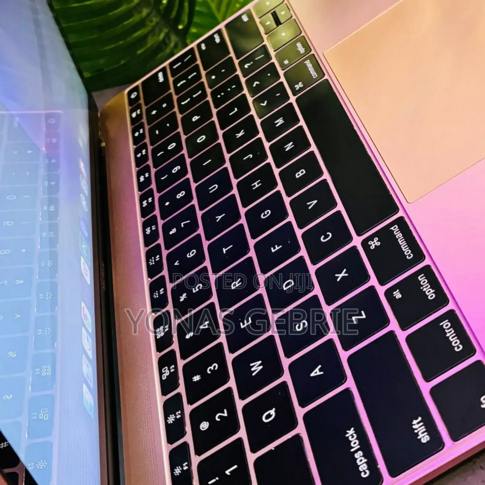New Laptop Apple MacBook 2019 8GB Intel Core M3 SSD 256GB