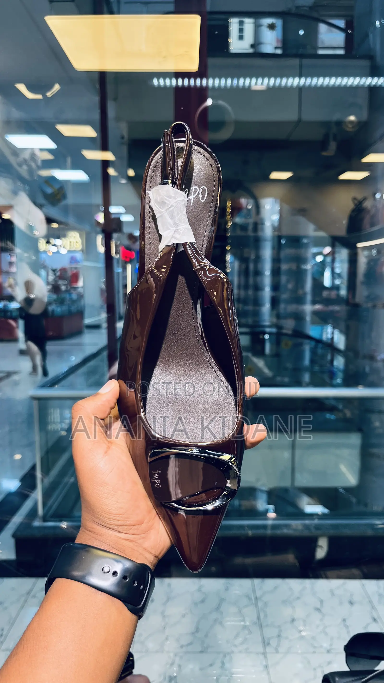 The Brown Ego Heel Shoe