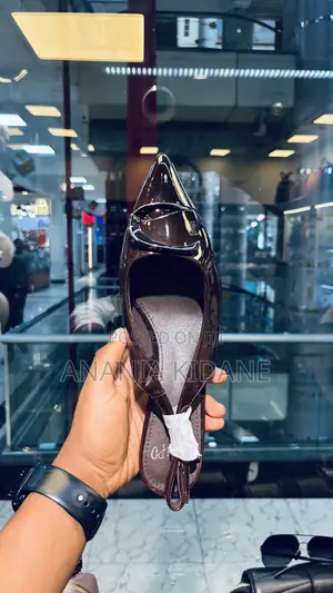 Photo - The Brown Ego Heel Shoe