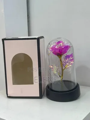 Led Dome Glass Rose Flower