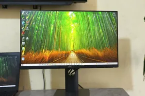 Photo - Dell 24 Inc Fremless Monitor