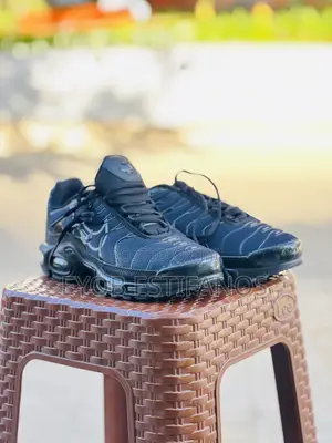 Photo - Nike Airmax Tn