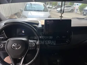 Toyota Corolla LE 2020 Gray