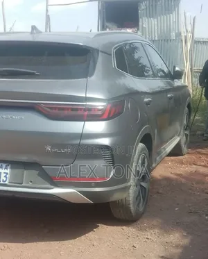 BYD Tang DM-i 2024 Gray