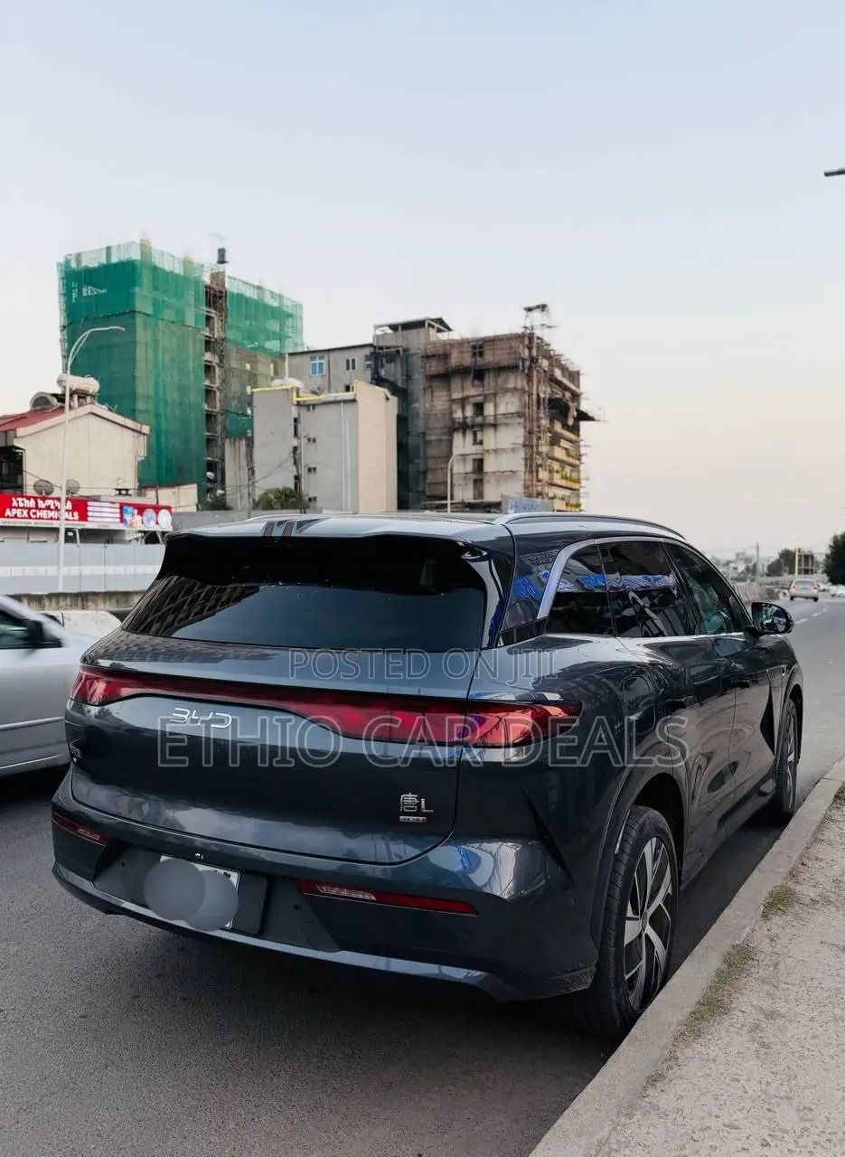 BYD Tang DM-i 2025 Blue